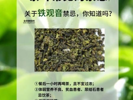 铁观音隔夜茶能喝吗(会不会影响健康)