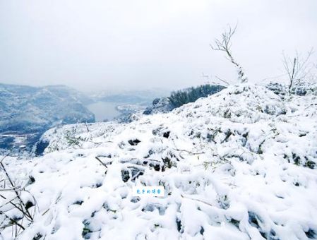 一场雪下不尽冬天的冷漠，你有没有被这句话深深触动？