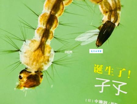 子孑是什么的幼虫？看完让你恍然大悟！