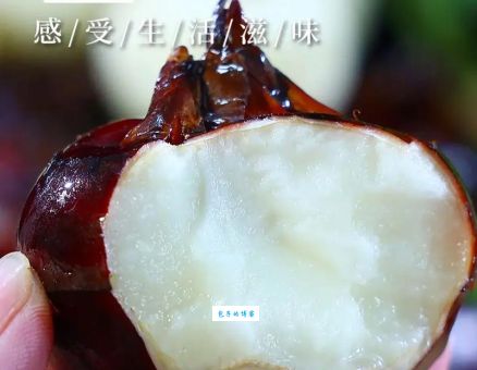 马蹄果和荸荠哪个好？营养价值和口感大比拼！