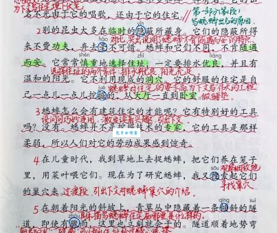 颇的组词怎么用？这篇文章带你了解常见用法！