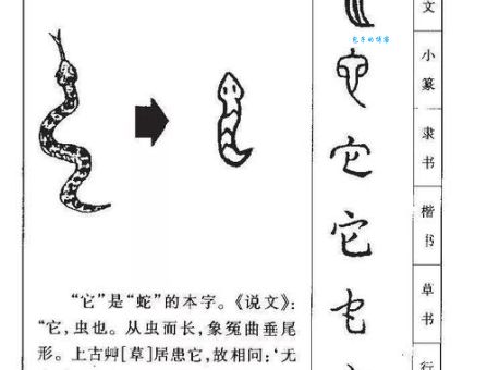 什字组2个词语有哪些？这几个组合你肯定不知道！