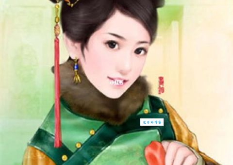 努尔哈赤的妃子( 哪个妃子最得宠)
