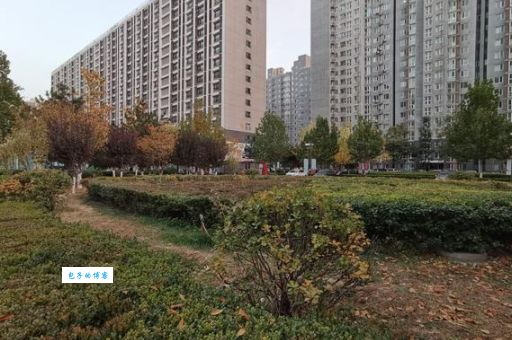 上上城五期业主论坛(周边配套齐全吗)
