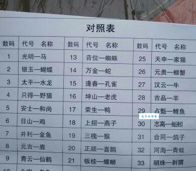 龙飞凤舞打一个生肖，答案是什么你猜得到吗？