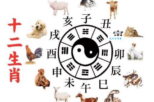 风尘之声代表哪个生肖？这几种说法你听过吗？