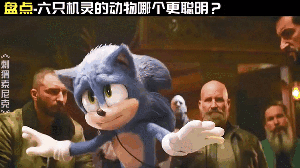耳聪目明打一个生肖(哪个动物最机灵)