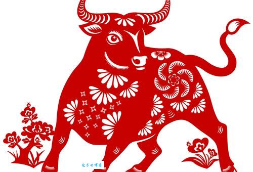 蜂出泉流指什么生肖？听听民俗专家的说法！