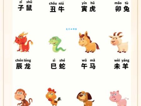 倚马千言指的是哪个生肖？是兔还是狗？