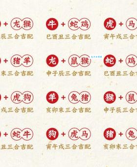 倚马千言指的是哪个生肖？是兔还是狗？