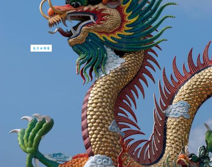 厚德载物是什么生肖(牛和龙你更倾向于哪个)