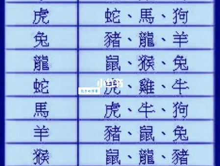出水芙蓉是指什么生肖(是兔还是虎呢)