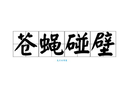 苍蝇碰壁指什么生肖？听听这些人的分析吧！