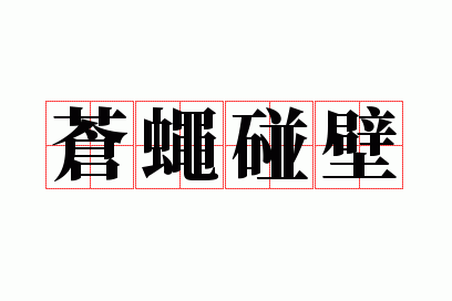 苍蝇碰壁指什么生肖？听听这些人的分析吧！
