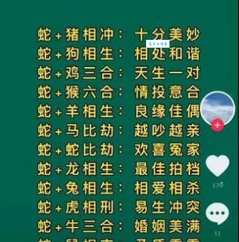 游人如织是什么生肖(哪个生肖代表着热闹非凡)