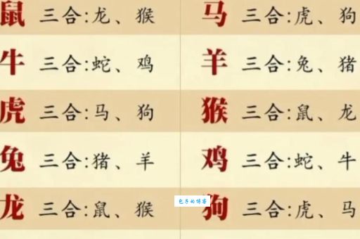 游人如织是什么生肖(哪个生肖代表着热闹非凡)