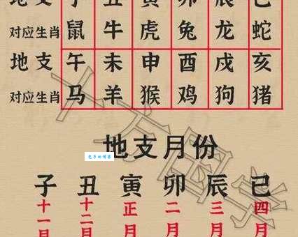 天南地北打一正确生肖(哪个生肖最自由)