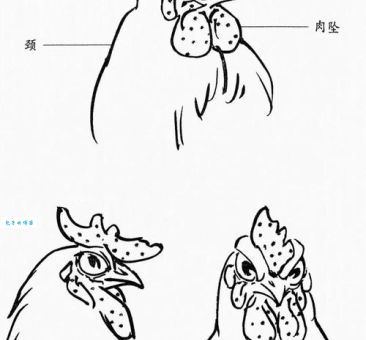 呆若木鸡是什么生肖(谁才是真正的木头)