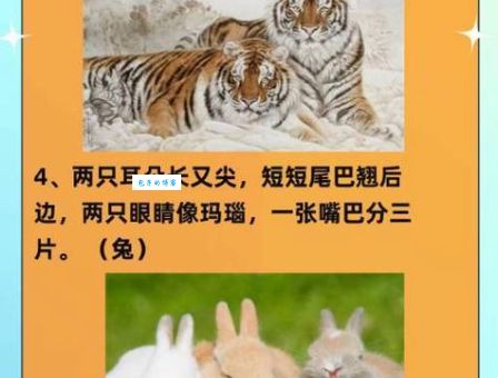 两头担心打一生肖，这个谜语你知道答案吗？
