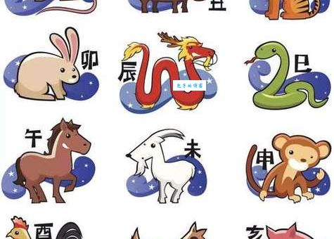 金玉良言猜一个生肖，这个答案你绝对想不到！