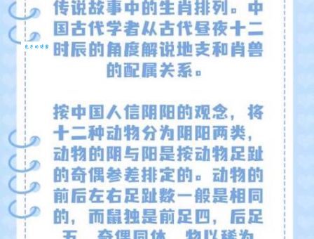 独守空房是什么生肖(是哪个生肖在陪伴你)