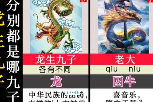 化整为零是什么生肖(它们分别有什么特点)