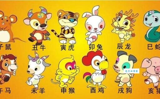 粗心大意是什么生肖(哪个生肖最爱丢三落四)