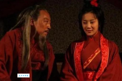静姝是哪个电视剧的角色？她与司马懿的关系