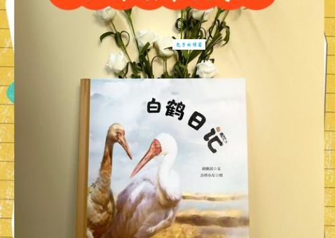 白鹤的拼音老是读错？这篇干货帮你纠正！