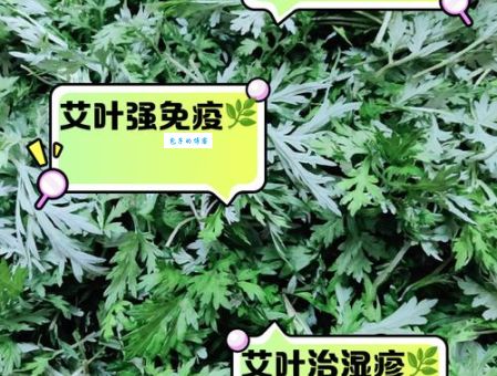 艾组词和造句怎么做？这份详细教程快来学！