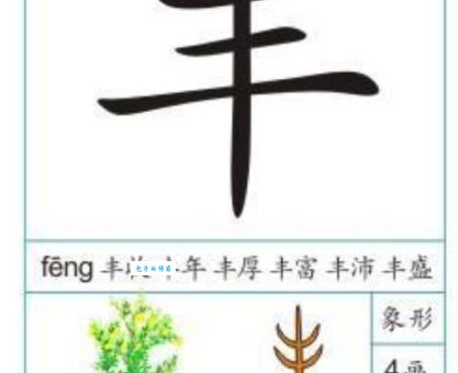 丰的拼音是什么？详细解读“丰”字的读音和用法！