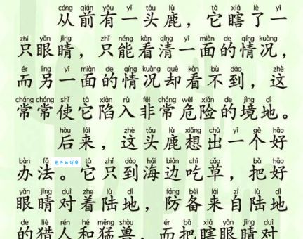 壳的拼音是啥？这篇文章让你一看就明白！
