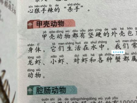 壳的拼音是啥？这篇文章让你一看就明白！