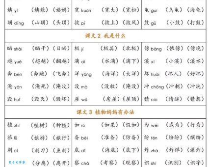 坝的拼音及组词大全，收藏这篇就够用了！