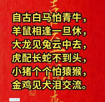 肉山脯林开过哪些生肖？看看你是否猜对！