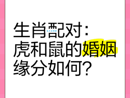 高风玉骨的生肖是哪个？带你一起探索答案