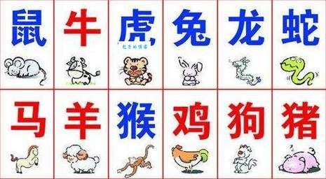 屎滚尿流是什么生肖？这几个生肖最胆小？