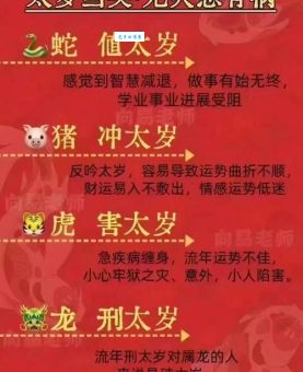 白首如新是什么生肖？十二生肖中谁最符合白首如新？