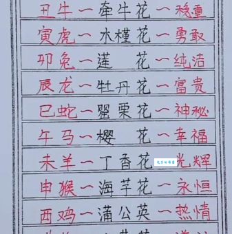 马上观花十二朵代表什么生肖？答案就在这篇文章里！