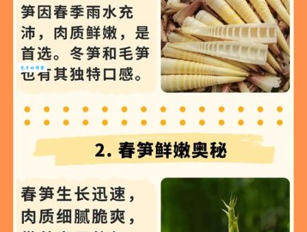 急！雨后春笋究竟是哪个生肖？多种说法大揭秘
