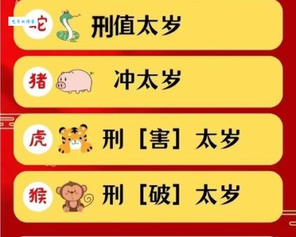南拳北腿代表什么生肖？速看生肖与武术的秘密！