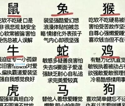 半夜三更猜生肖是什么？揭开古老谜题背后的生肖秘密