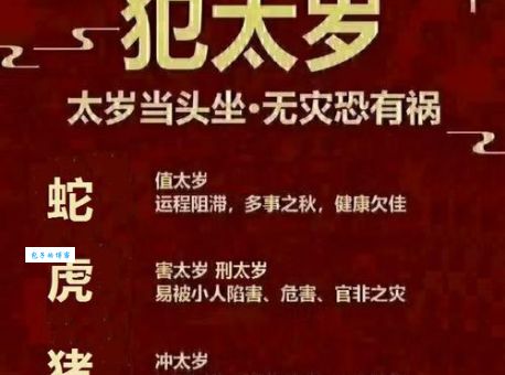 “千王之王出江湖”暗指什么生肖？多种说法大比拼