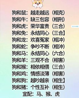 逢场作戏与十二生肖的关系，你了解多少？