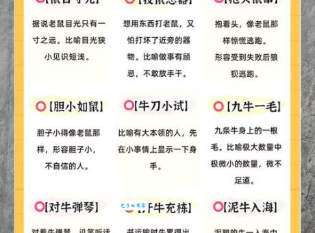 趣味谜语：红男绿女代表哪个生肖？