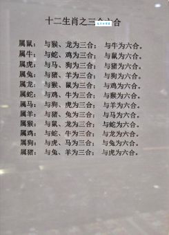 十二生肖中谁最“打当面鼓”？揭秘生肖性格与成语关联