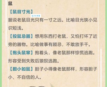 十二生肖中谁最“打当面鼓”？揭秘生肖性格与成语关联