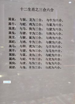 解密生肖谜语：三长两短指的是谁？