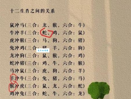 解密生肖谜语：三长两短指的是谁？