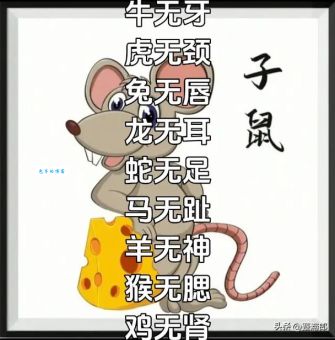 十二生肖中谁最容易有口无心？答案揭晓！